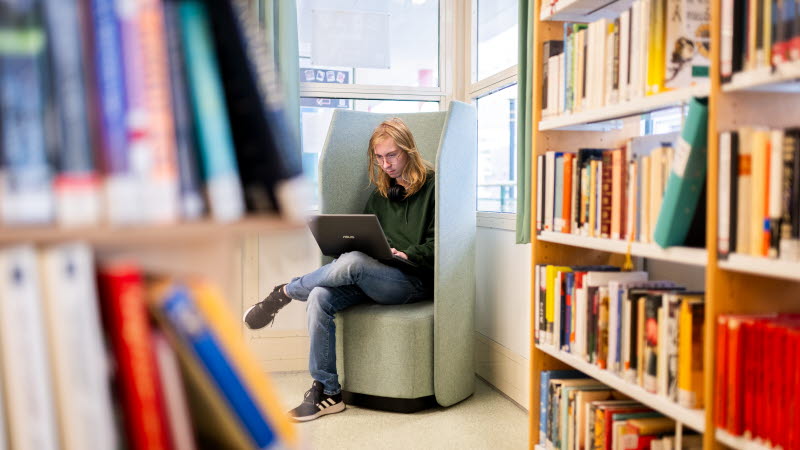 {"X":0.265,"Y":0.0,"Width":0.665,"Height":1.0}